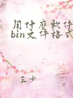 用什么软件打开bin文件格式