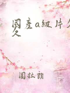 国产a级片久久久