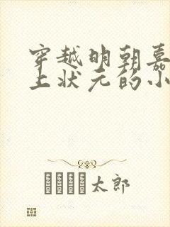 穿越明朝嘉靖当上状元的小说