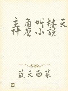 主角叫林天的叫什么小说