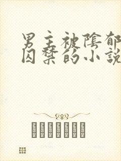 男主被阴郁疯批囚禁的小说