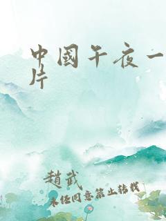 中国午夜一级淫片