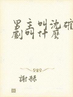 男主叫沈确的短剧叫什么