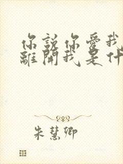 你说你爱我却又离开我是什么歌