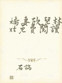 娇妻欣儿林哥txt免费阅读番外篇