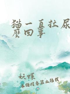 猫一直拉尿是怎么回事