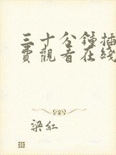 三十分钟插曲免费观看在线观看高清