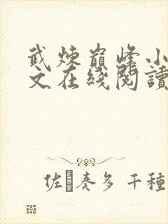 武炼巅峰小说全文在线阅读免费