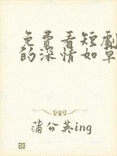 免费看短剧迟来的深情如草芥