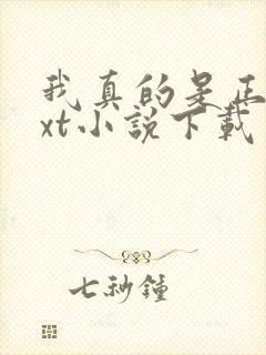 我真的是正派txt小说下载