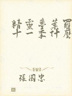 精灵梦叶罗丽第十一季什么时候更新