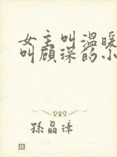 女主叫温暖男主叫顾琛的小说