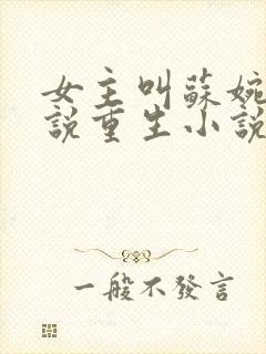 女主叫苏婉的小说重生小说