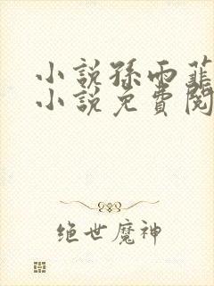 小说孙雨菲主角小说免费阅读全文