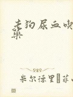 老狗尿血吃什么药