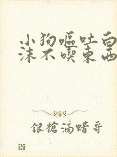 小狗呕吐白色泡沫不吃东西