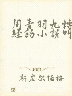 周青羽九转不灭经的小说叫什么
