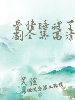 爱情睡醒了电视剧全集高清