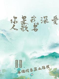 你是我深爱的男人歌名