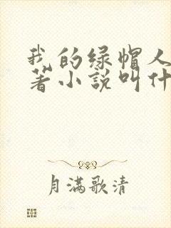 我的绿帽人生原著小说叫什么名字