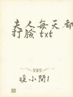 夫人每天都在线打脸 txt