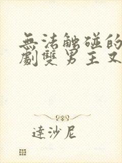 无法触碰的爱日剧双男主又名什么