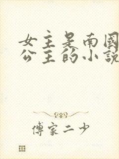 女主是南国和亲公主的小说