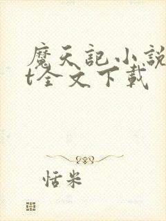 魔天记小说txt全文下载