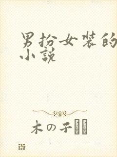 男扮女装的古言小说