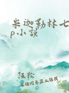 米迦勒林七夜cp小说