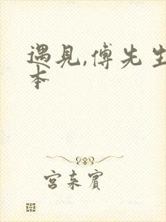 遇见,傅先生完本