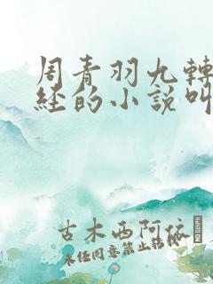 周青羽九转不灭经的小说叫什么