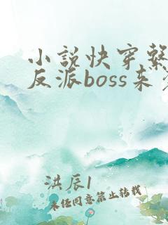 小说快穿系统之反派boss来袭免费阅读