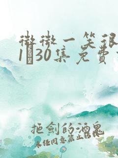 微微一笑很倾城1―30集免费高清