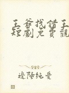 王爷找错王妃了短剧免费观看