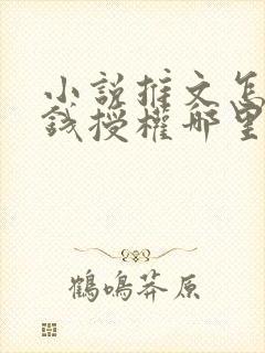 小说推文怎么赚钱授权哪里弄