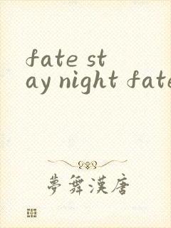 fate stay night fate线