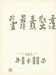 我最喜欢看的动画片熊出没