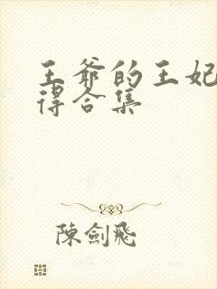 王爷的王妃惹不得合集