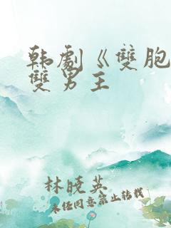 韩剧《双胞胎》双男主