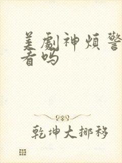 美剧神烦警探好看吗