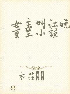 女主叫江晚吟的重生小说