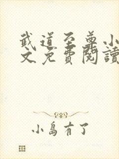 武道至尊小说全文免费阅读无弹窗