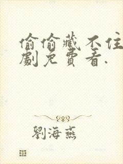 偷偷藏不住电视剧免费看.