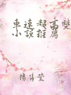 车速超高双男主小说推荐