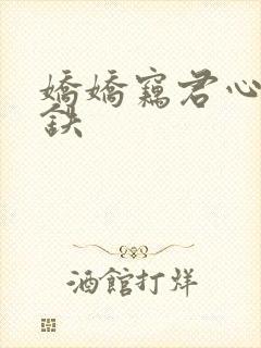 娇娇窃君心王道铁