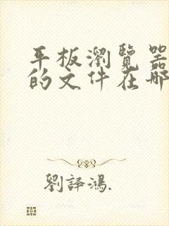 平板浏览器下载的文件在哪个文件夹