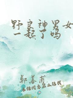 野良神男女主在一起了吗