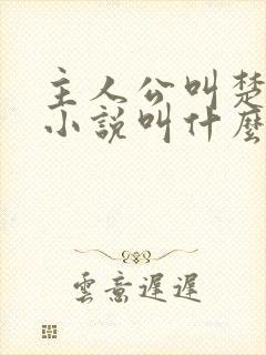 主人公叫楚尘的小说叫什么名字