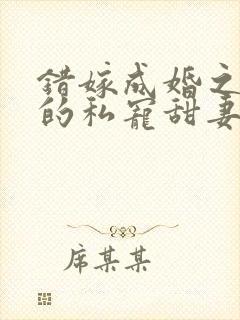 错嫁成婚之总裁的私宠甜妻免费阅读